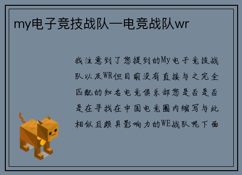 my电子竞技战队—电竞战队wr